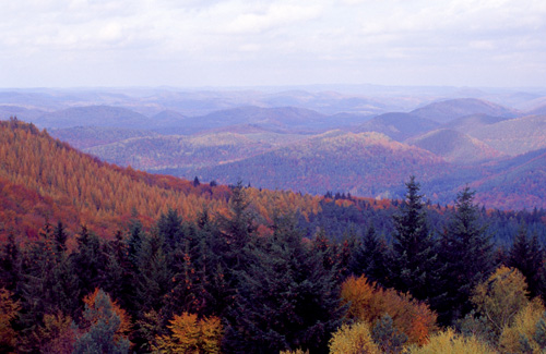 Les Vosges du Nord